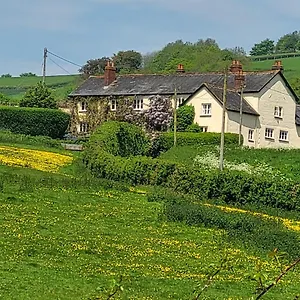 Beautiful Devon Apartment Exeter